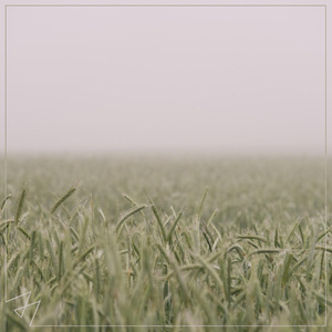 贝拉三级黄色片
