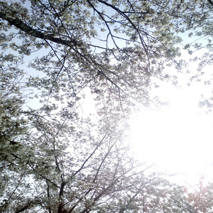 贝拉三级黄色片
